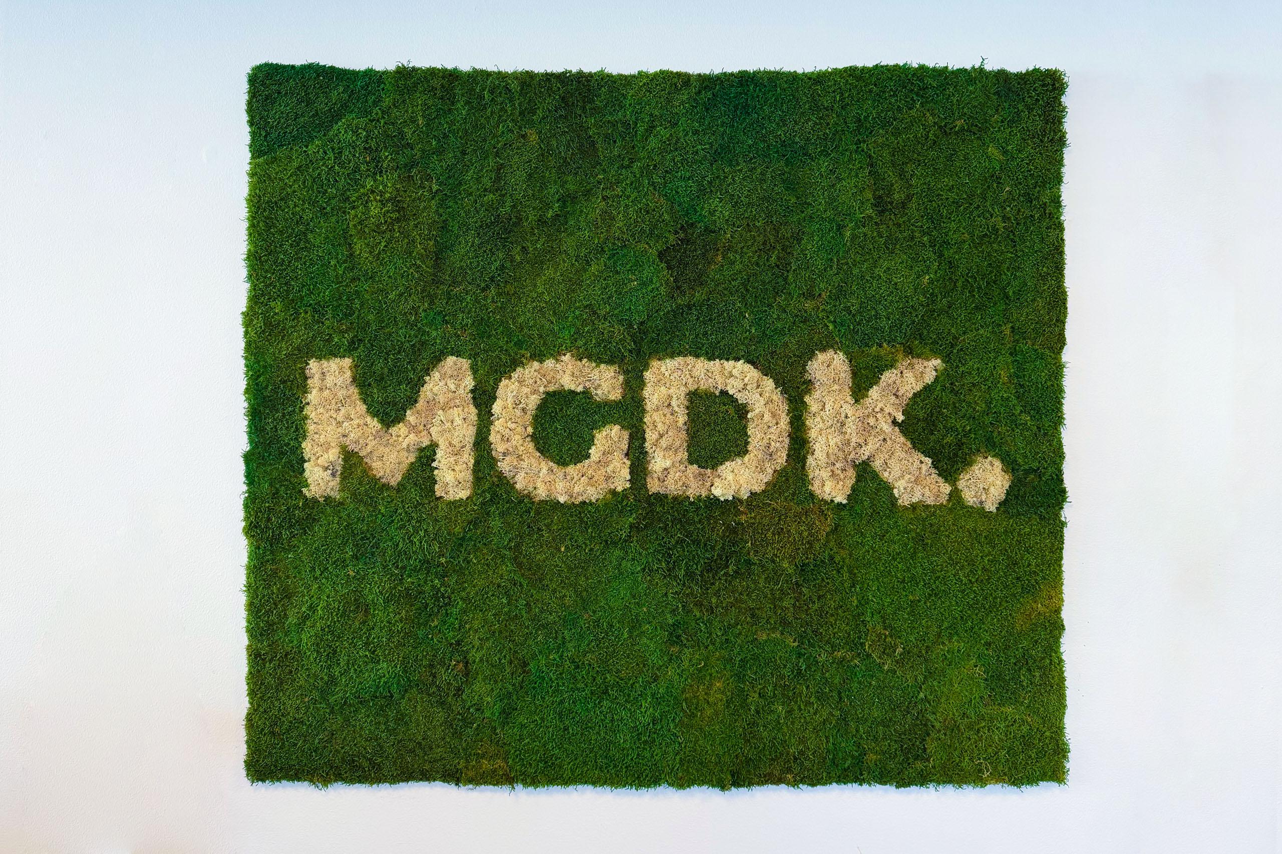 The team behind MGDK